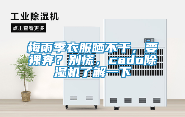 梅雨季衣服曬不幹，要裸奔？別慌，cado91看片软件大全了解一下