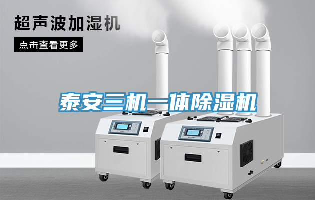 泰安三機一體91看片软件大全