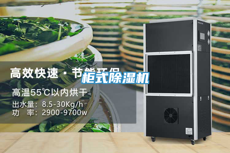 櫃式91看片软件大全