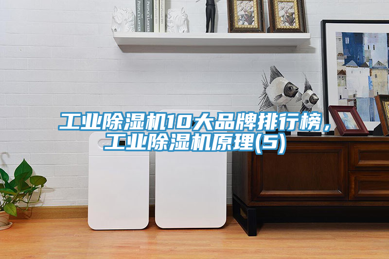 工業91看片软件大全10大品牌排行榜，工業91看片软件大全原理(5)