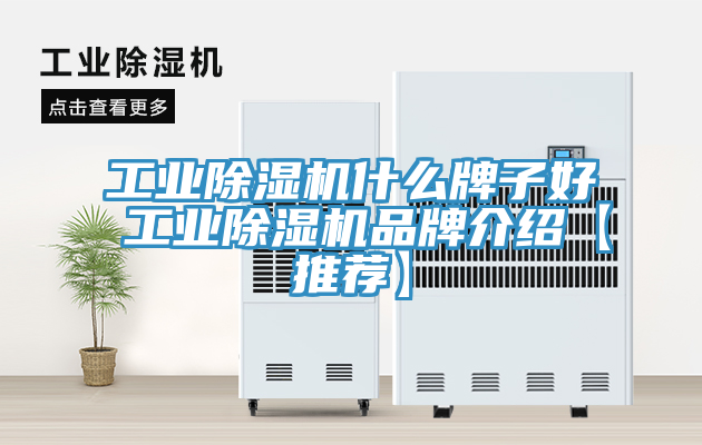 工業91看片软件大全什麽牌子好 工業91看片软件大全品牌介紹【推薦】