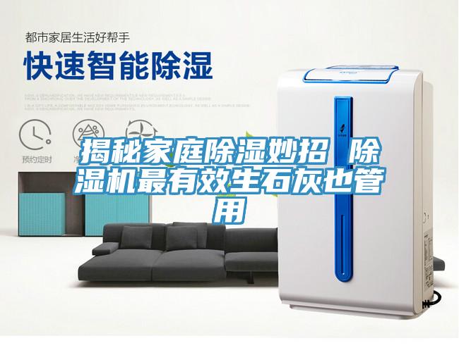 揭秘家庭除濕妙招 91看片软件大全最有效生石灰也管用