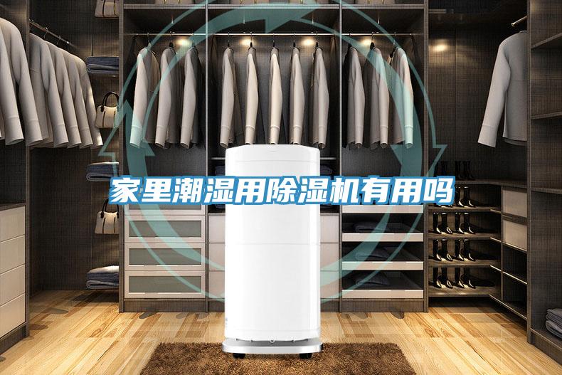家裏潮濕用91看片软件大全有用嗎