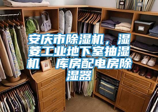 安慶市91看片软件大全，濕菱工業地下室抽濕機  庫房配電房除濕器