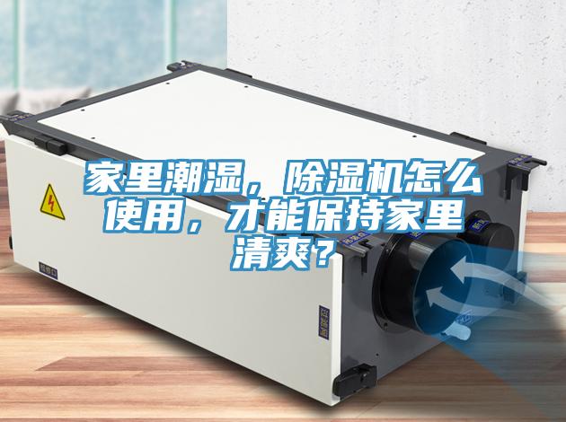 家裏潮濕，91看片软件大全怎麽使用，才能保持家裏清爽？