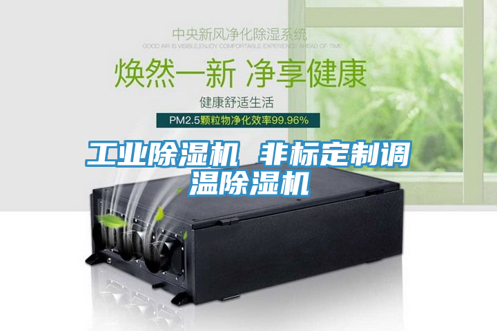 工業91看片软件大全 非標定製調溫91看片软件大全