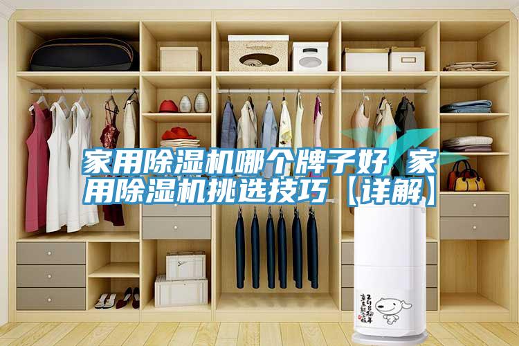 家用91看片软件大全哪個牌子好 家用91看片软件大全挑選技巧【詳解】