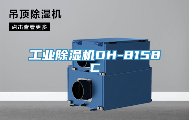 工業91看片软件大全DH-8158C