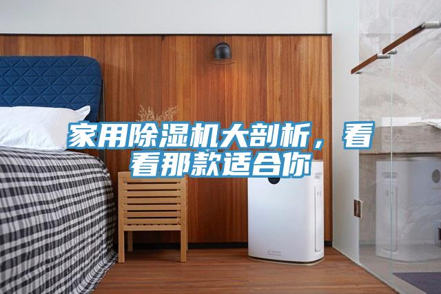 家用91看片软件大全大剖析，看看那款適合你