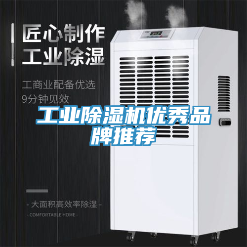 工業91看片软件大全優秀品牌推薦