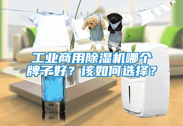 工業商用91看片软件大全哪個牌子好？該如何選擇？