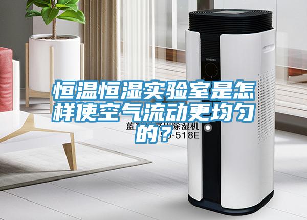 恒溫恒濕實驗室是怎樣使空氣流動更均勻的？