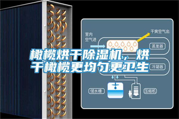 橄欖烘幹91看片软件大全，烘幹橄欖更均勻更衛生