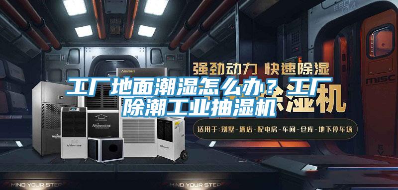 工廠地麵潮濕怎麽辦？工廠除潮工業抽濕機