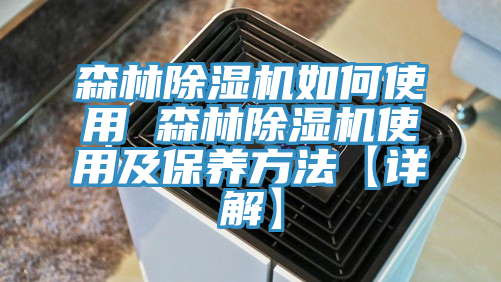 森林91看片软件大全如何使用 森林91看片软件大全使用及保養方法【詳解】