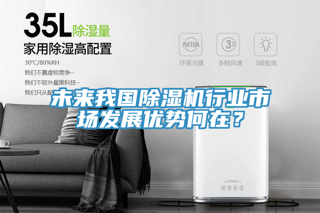 未來我國91看片软件大全行業市場發展優勢何在？