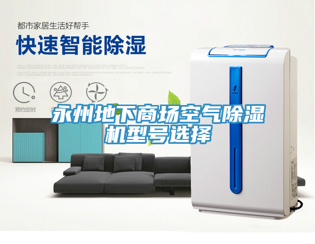 永州地下商場空氣91看片软件大全型號選擇