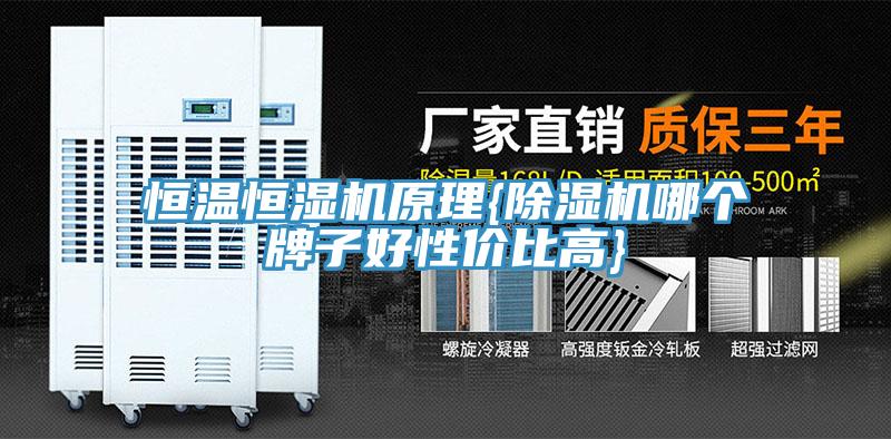 恒溫恒濕機原理{91看片软件大全哪個牌子好性價比高}