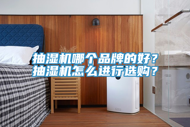 抽濕機哪個品牌的好？抽濕機怎麽進行選購？