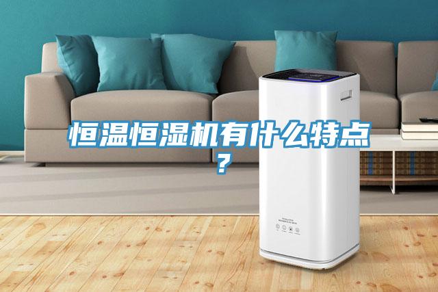 恒溫恒濕機有什麽特點？