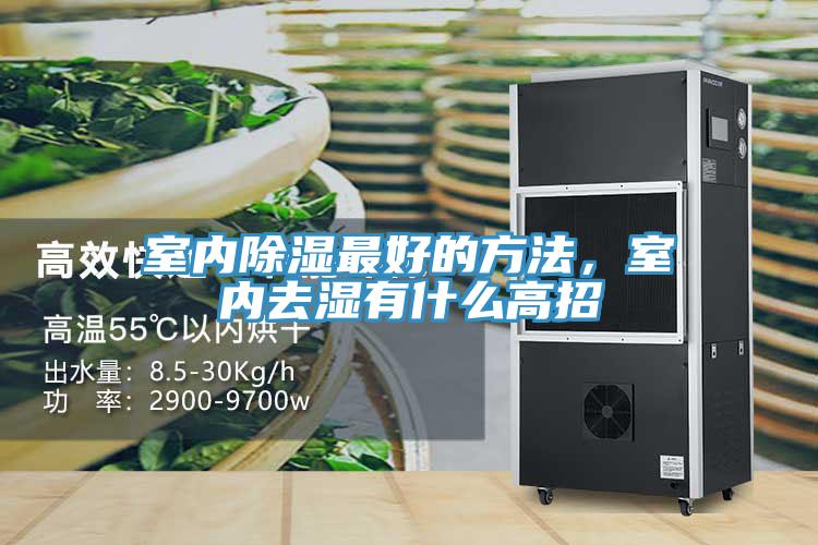室內除濕最好的方法，室內去濕有什麽高招