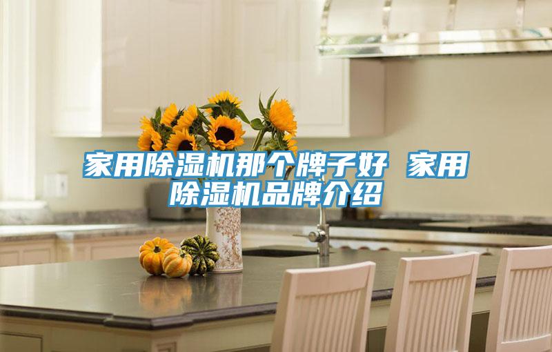 家用91看片软件大全那個牌子好 家用91看片软件大全品牌介紹