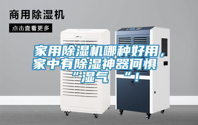 家用91看片软件大全哪種好用，家中有除濕神器何懼 “濕氣 “！