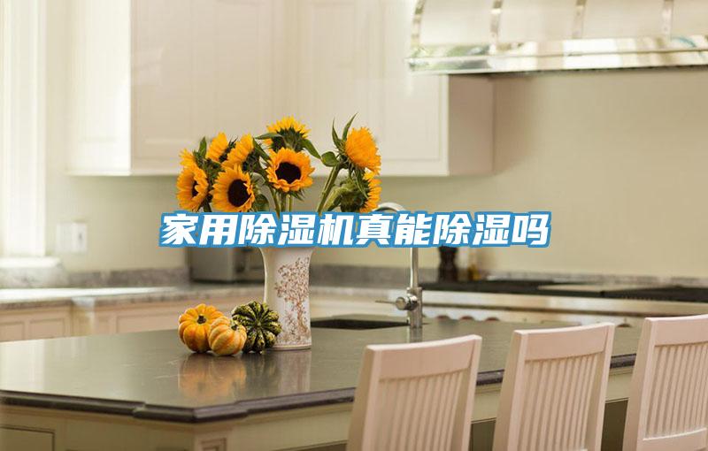 家用91看片软件大全真能除濕嗎