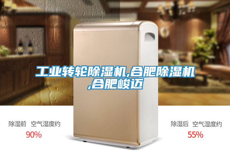工業轉輪91看片软件大全,合肥91看片软件大全,合肥峻邁