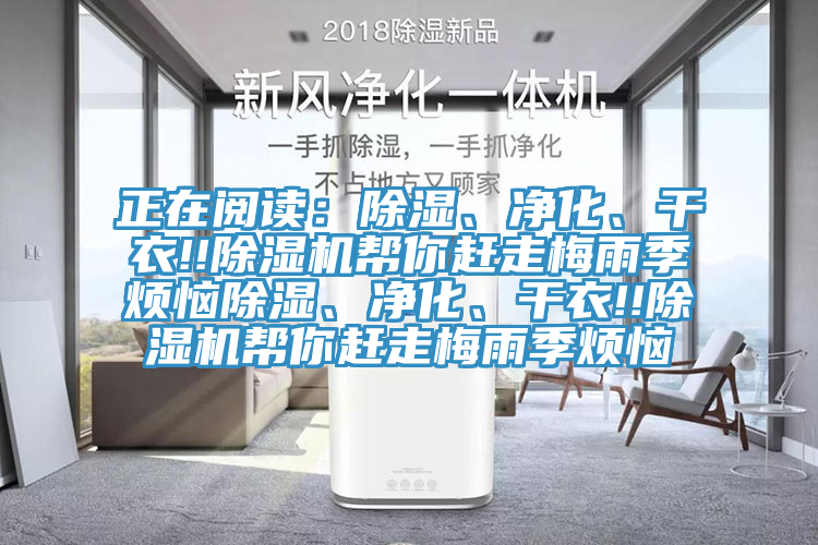 正在閱讀：除濕、淨化、幹衣!!91看片软件大全幫你趕走梅雨季煩惱除濕、淨化、幹衣!!91看片软件大全幫你趕走梅雨季煩惱