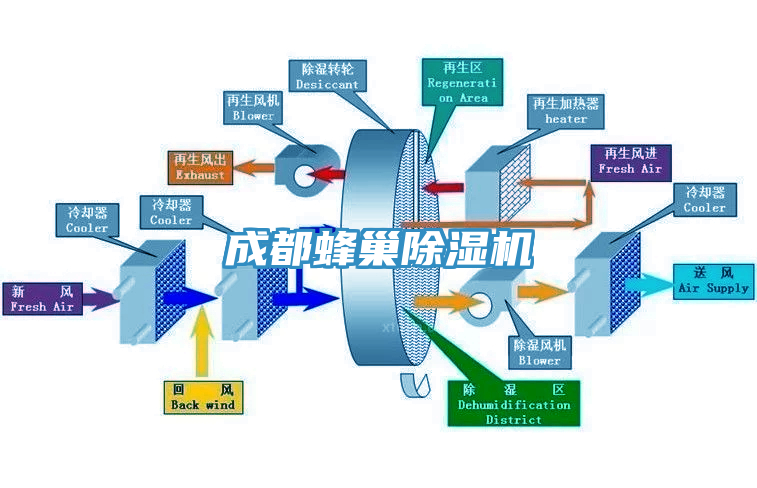 成都蜂巢91看片软件大全