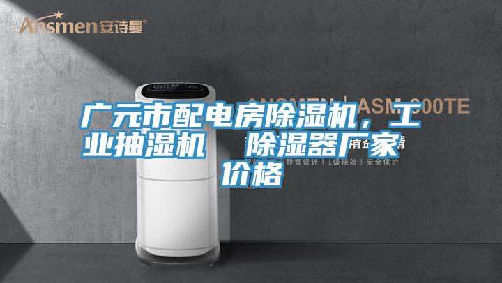 廣元市配電房91看片软件大全，工業抽濕機  除濕器廠家 價格