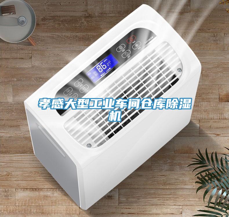 孝感大型工業車間倉庫91看片软件大全