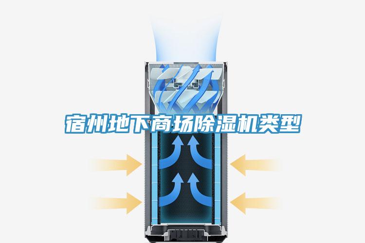 宿州地下商場91看片软件大全類型