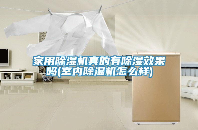 家用91看片软件大全真的有除濕效果嗎(室內91看片软件大全怎麽樣)