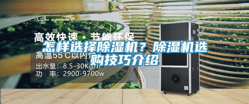 怎樣選擇91看片软件大全？91看片软件大全選購技巧介紹
