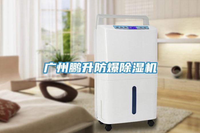 廣州鵬升防爆91看片软件大全