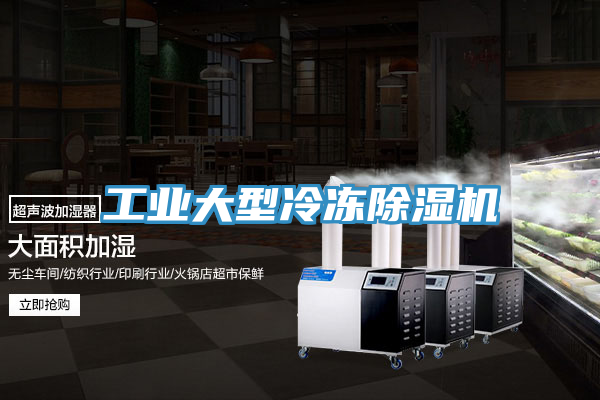 工業大型冷凍91看片软件大全
