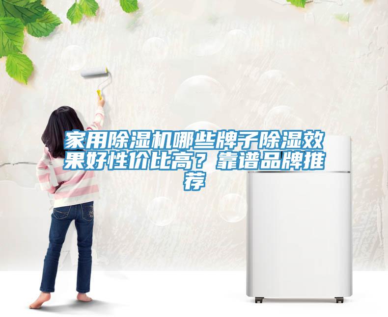 家用91看片软件大全哪些牌子除濕效果好性價比高？靠譜品牌推薦