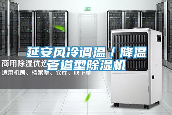 延安風冷調溫／降溫管道型91看片软件大全