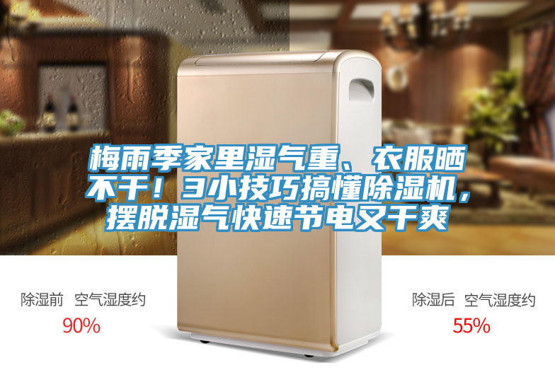 梅雨季家裏濕氣重、衣服曬不幹！3小技巧搞懂91看片软件大全，擺脫濕氣快速節電又幹爽