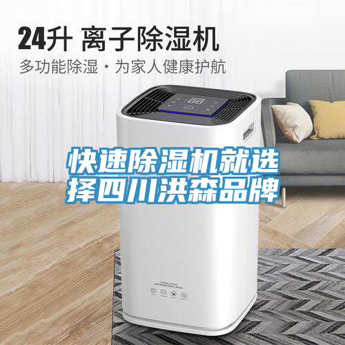 快速91看片软件大全就選擇四川洪森品牌