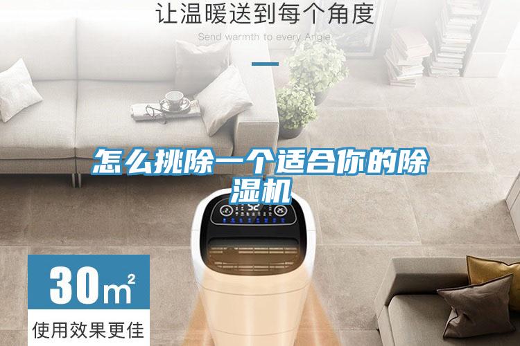 怎麽挑除一個適合你的91看片软件大全