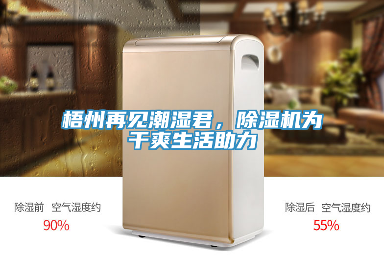 梧州再見潮濕君，91看片软件大全為幹爽生活助力