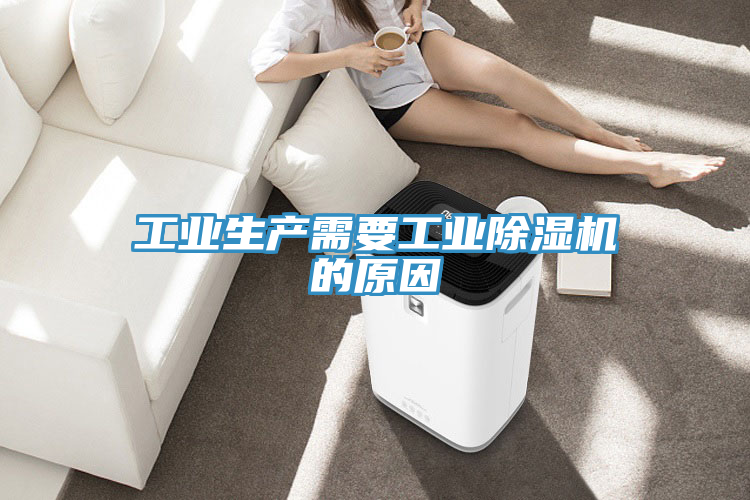 工業生產需要工業91看片软件大全的原因