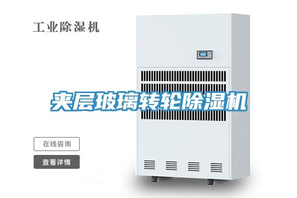 夾層玻璃轉輪91看片软件大全