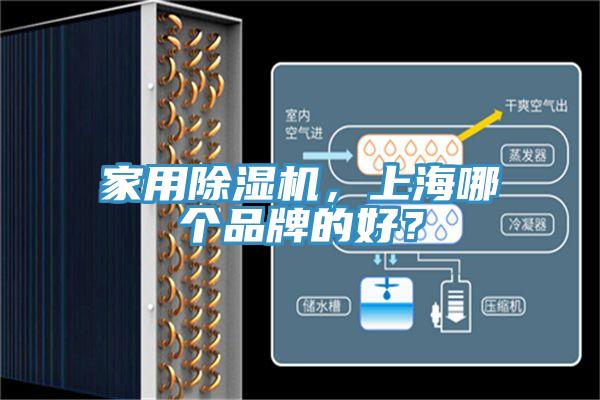 家用91看片软件大全，上海哪個品牌的好？