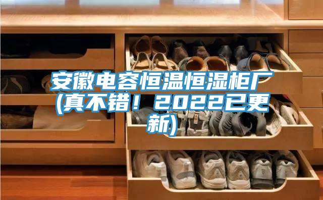 安徽電容恒溫恒濕櫃廠(真不錯！2022已更新)