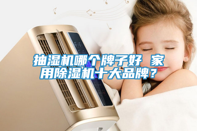 抽濕機哪個牌子好 家用91看片软件大全十大品牌？