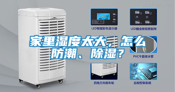 家裏濕度太大，怎麽防潮、除濕？